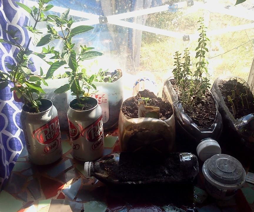 Aluminum Can Kitchen Planter