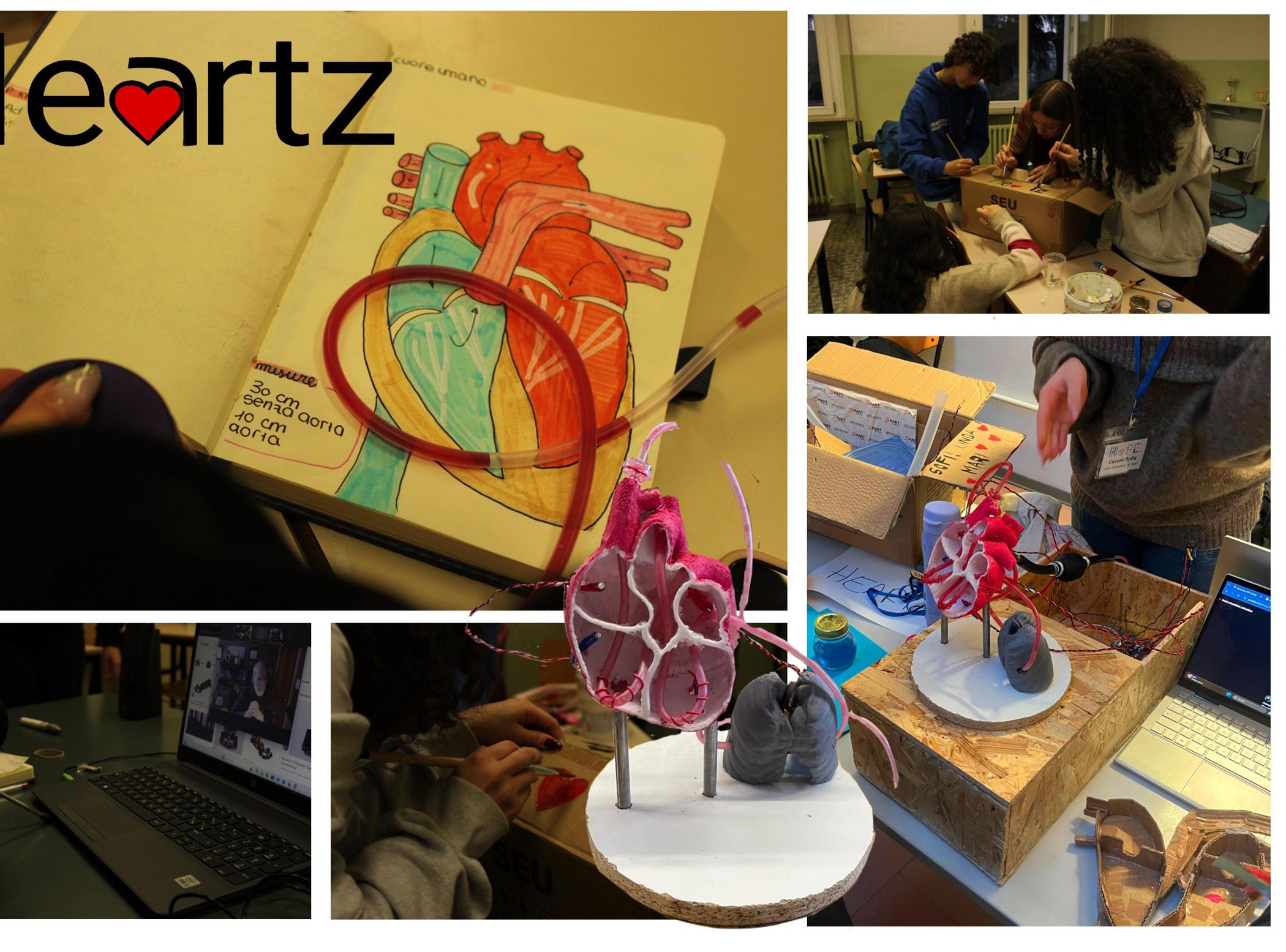 Heartz - an Anatomycal Heart Model : 4 Steps - Instructables