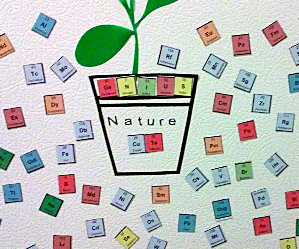 Periodic Table Magnets - 120 PCS Set