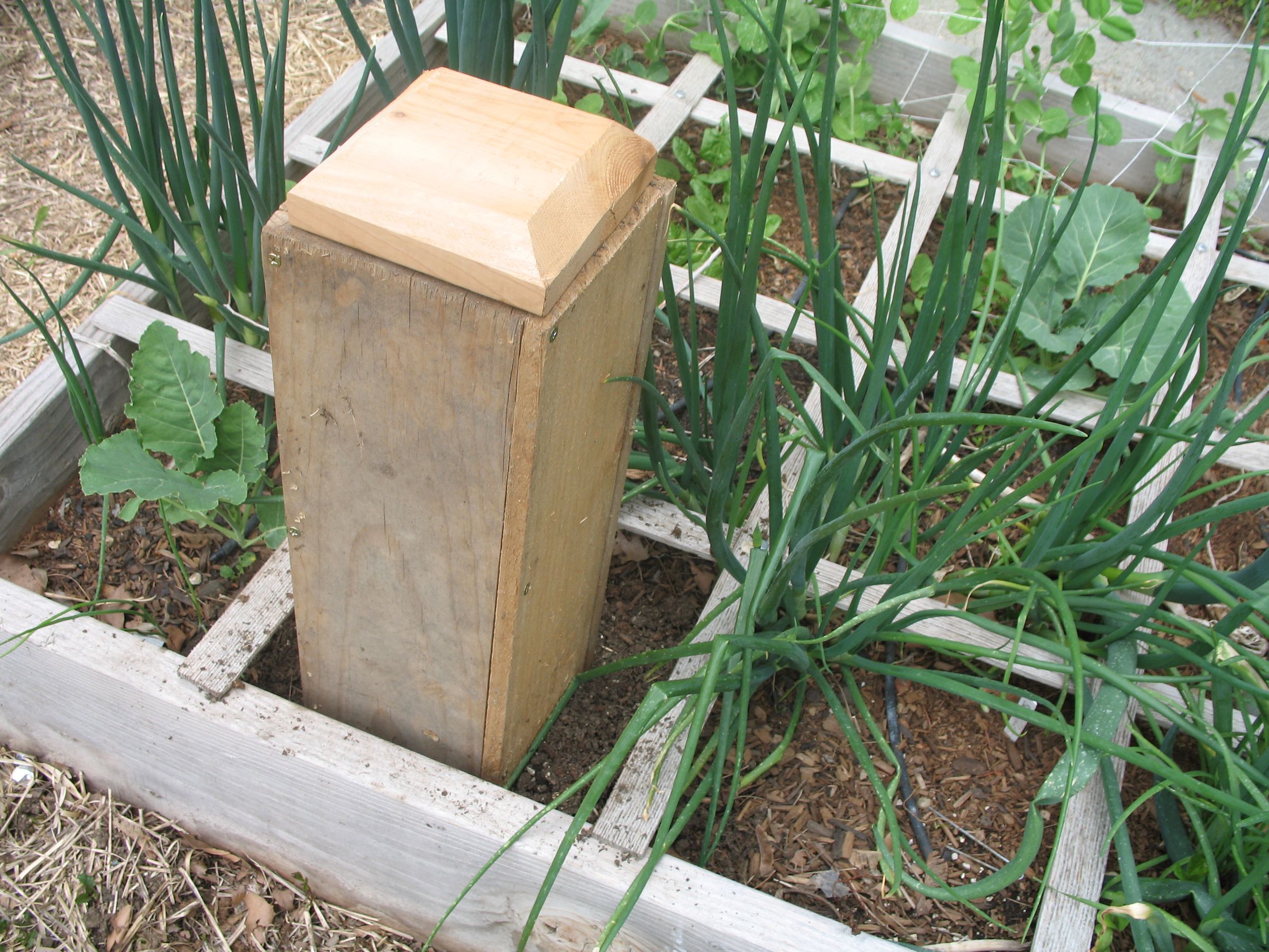Worm Cafe  - Compost With Earthworms Right in Your Garden