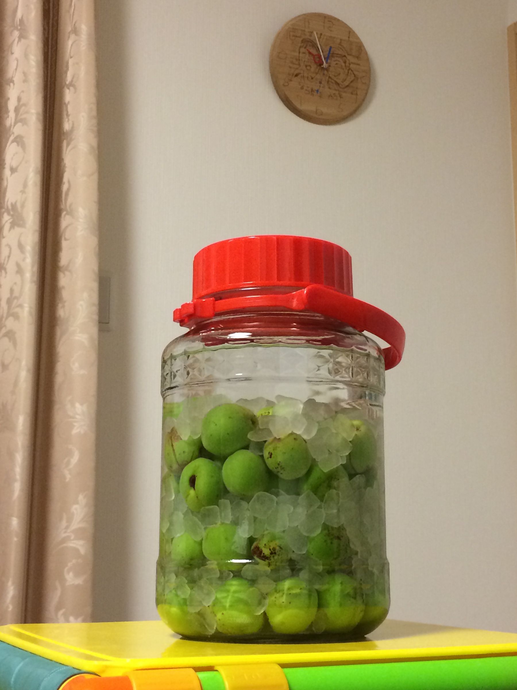 梅酒の作り方 -Plum Wine-