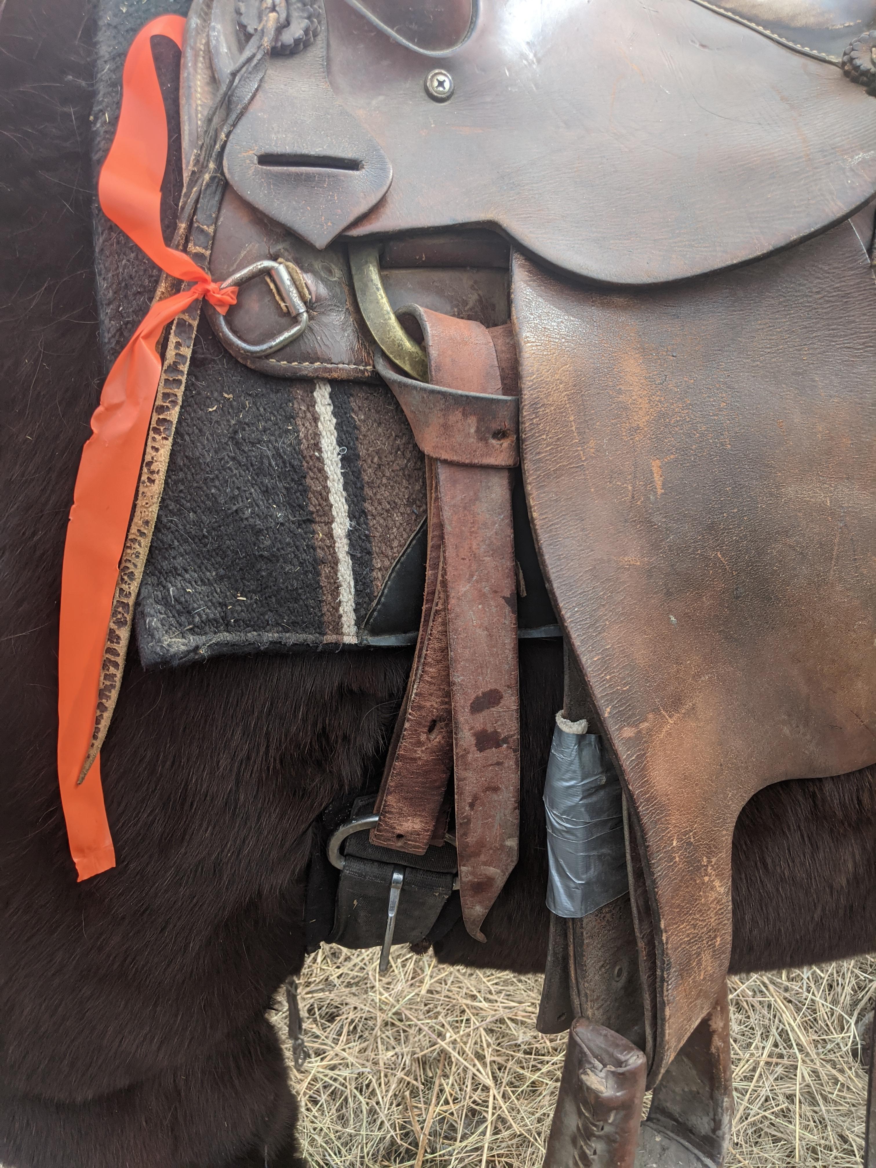 Saddle a Horse 8 Steps Instructables