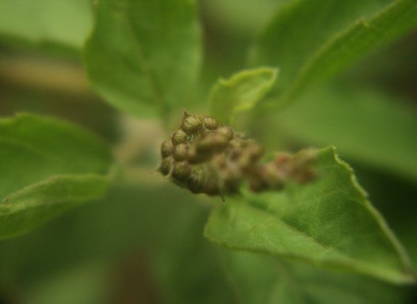 Creative Photography