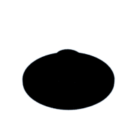 download {{ file.name }}