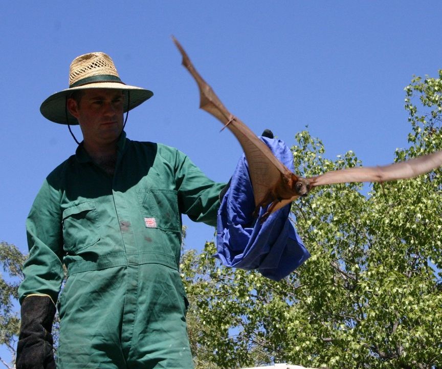 Wireless GPS Data Logger for Wildlife