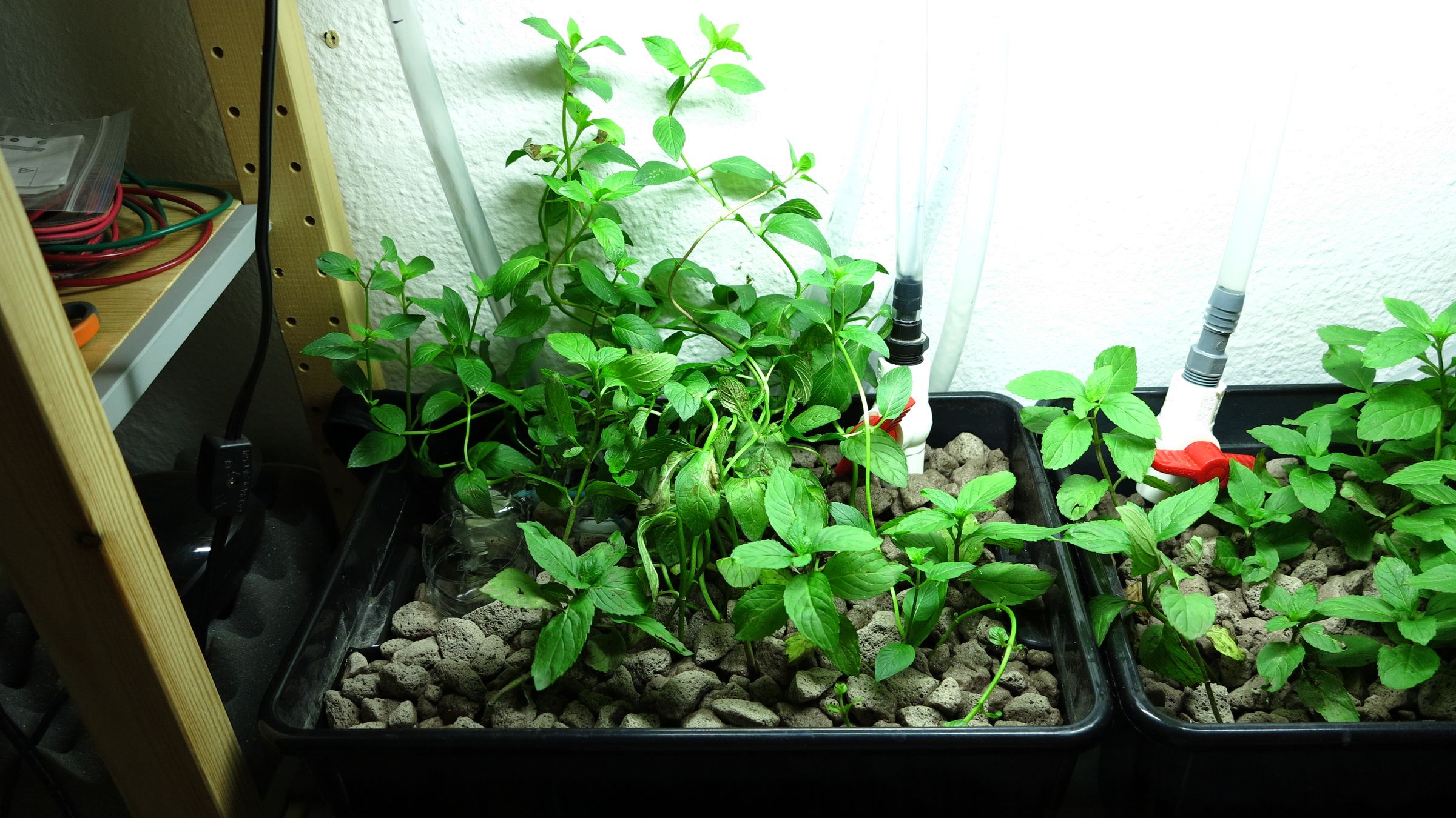 Ebb and Flow Aquaponics for the Office 12 Steps (with Pictures) Instructables