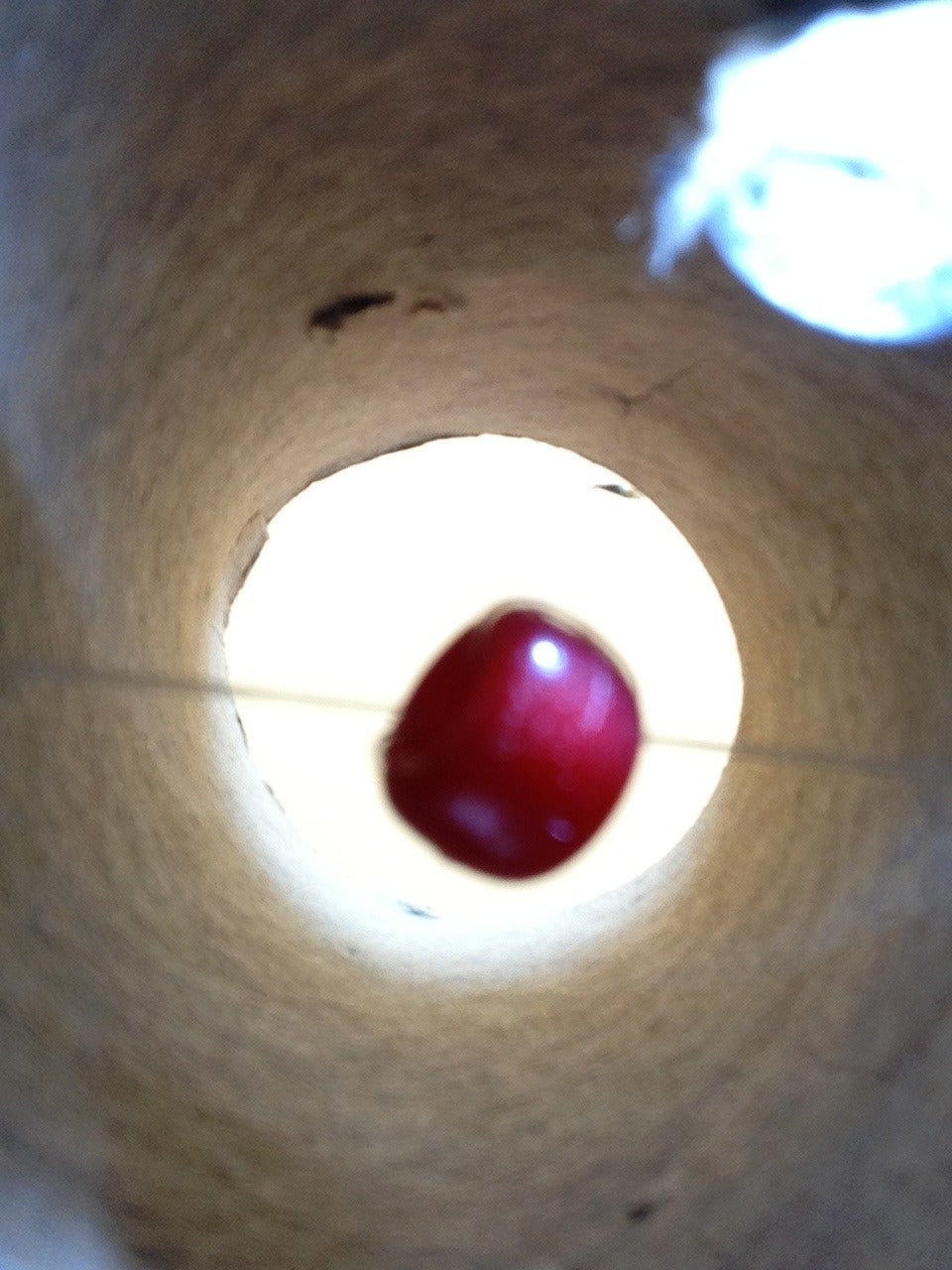Put Bead In
