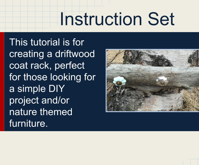 Driftwood Coat/Jewelry Hanger