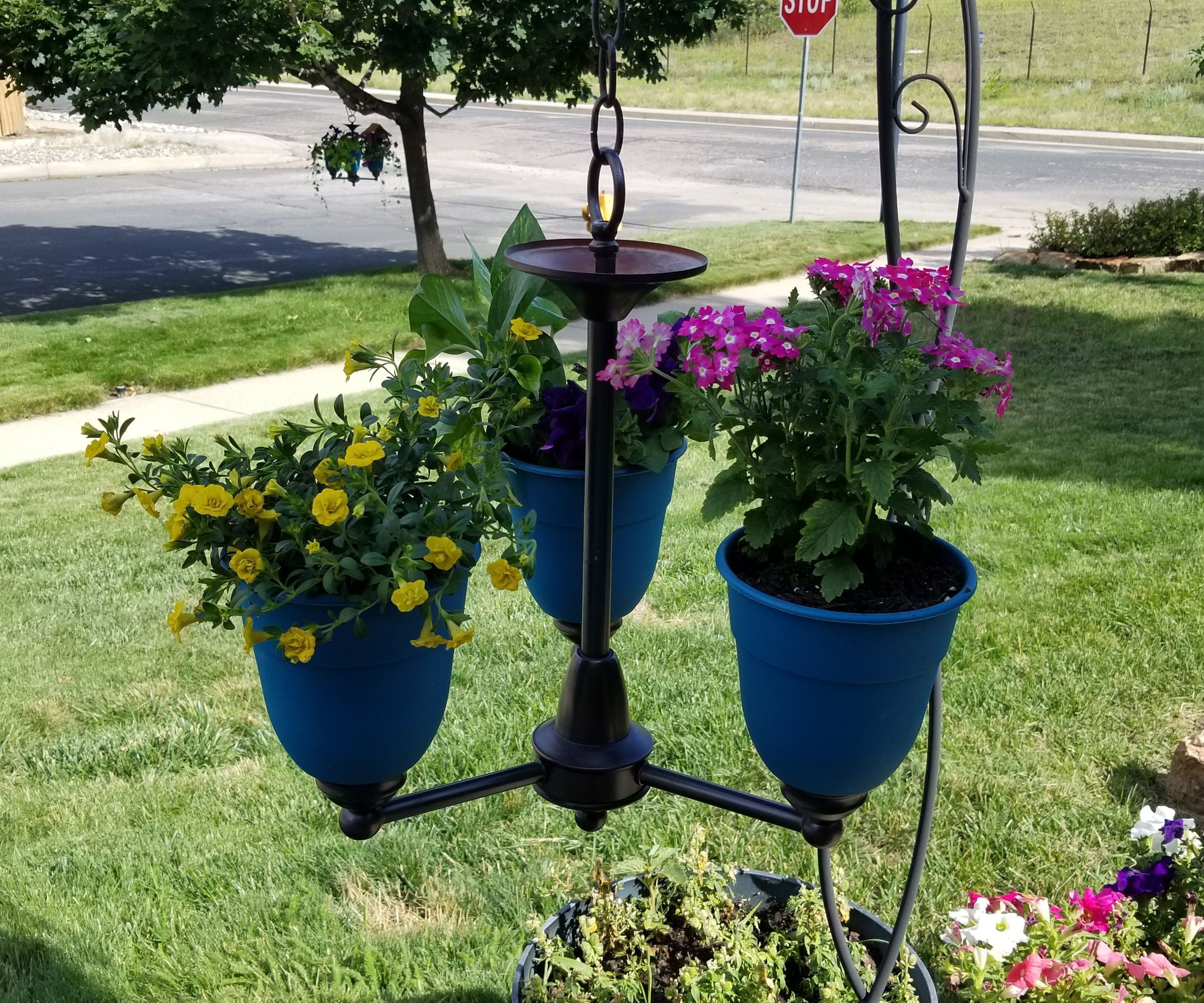 Chandelier Planter