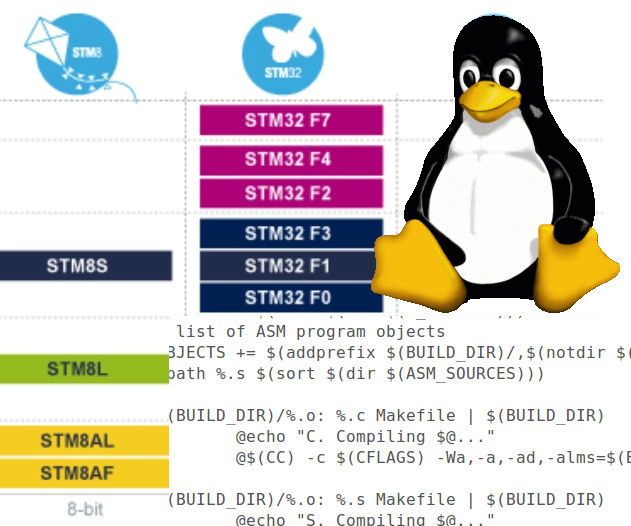 Build a Program for STM32 MCU Under Linux
