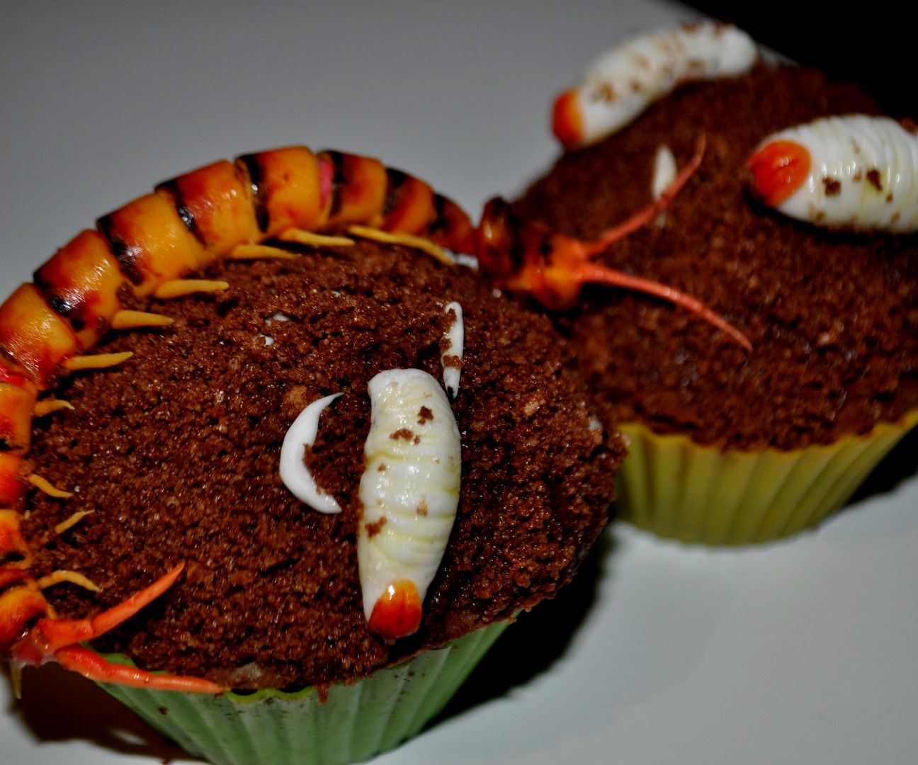 Centipede and Larvae Cupcake