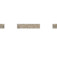 download {{ file.name }}