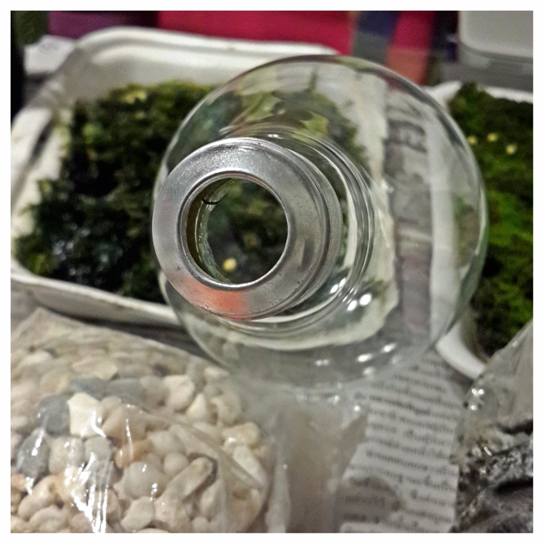 A Terrarium in a Light Bulb 4 Steps Instructables