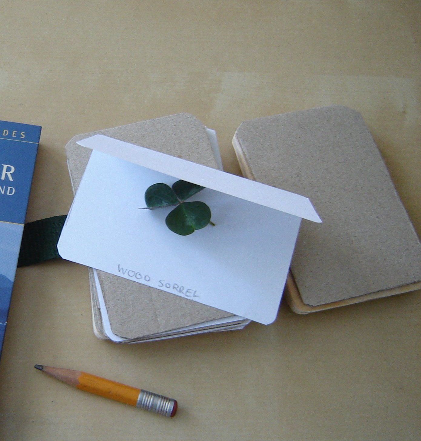 Pocket Flower Press