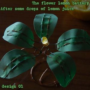The Tiny Lemon Battery, and Other Designs for Zero Cost Electricity and ...