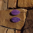 Great Glitter Earrings