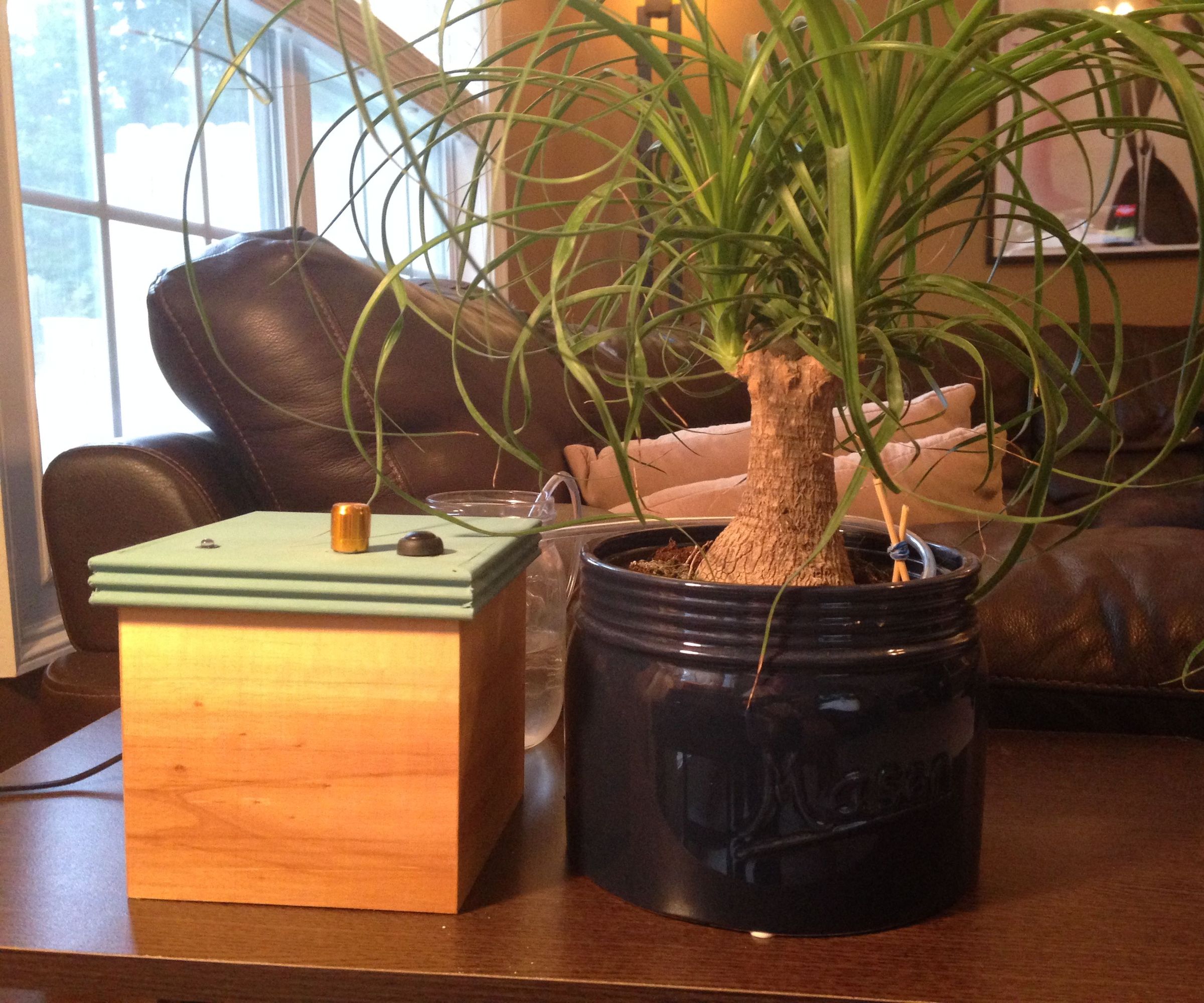 DIY Simple Water Box