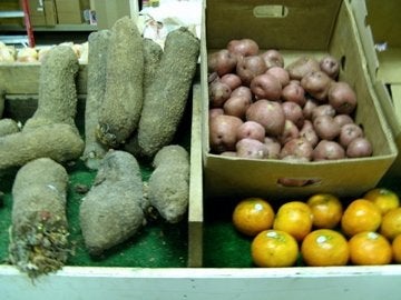 Walkabout and Talk to Store Owners