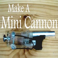 Collection Cover Image: June 5th Newsletter - 2011