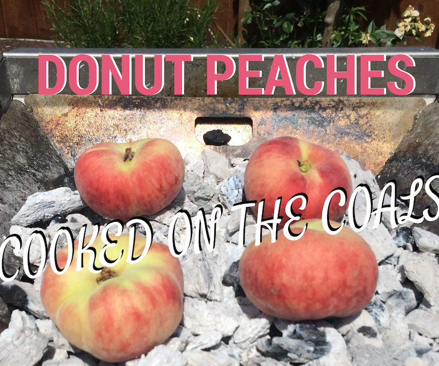 Donut Peaches - Cooked on the Coals