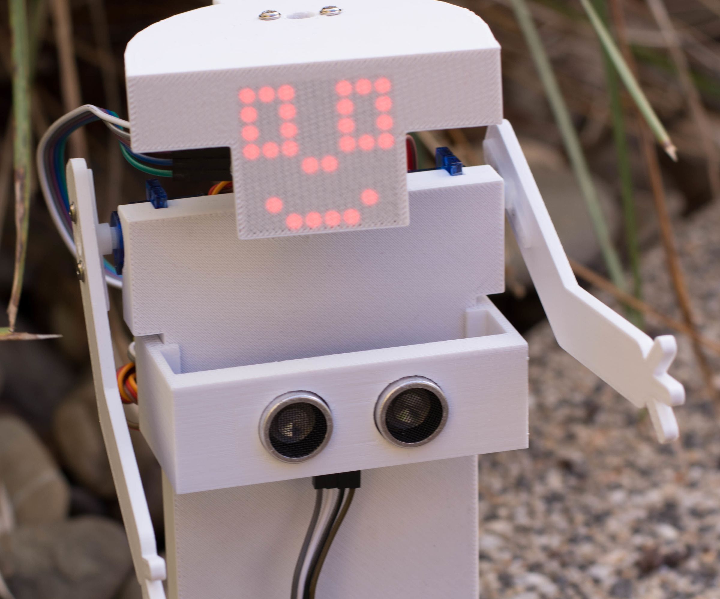 Creative Robotix - Educational Platform - Codee and Friends!