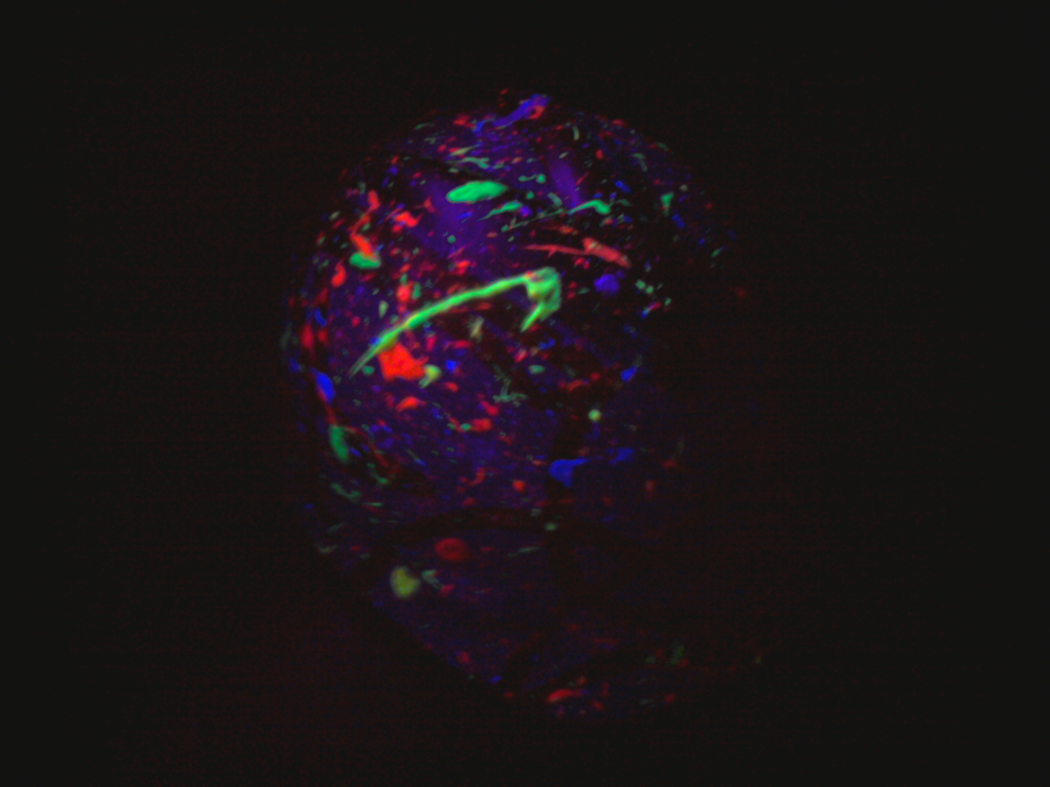 Blacklight Party!!!!