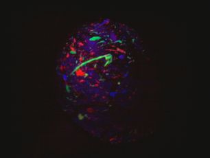 Blacklight Party!!!!