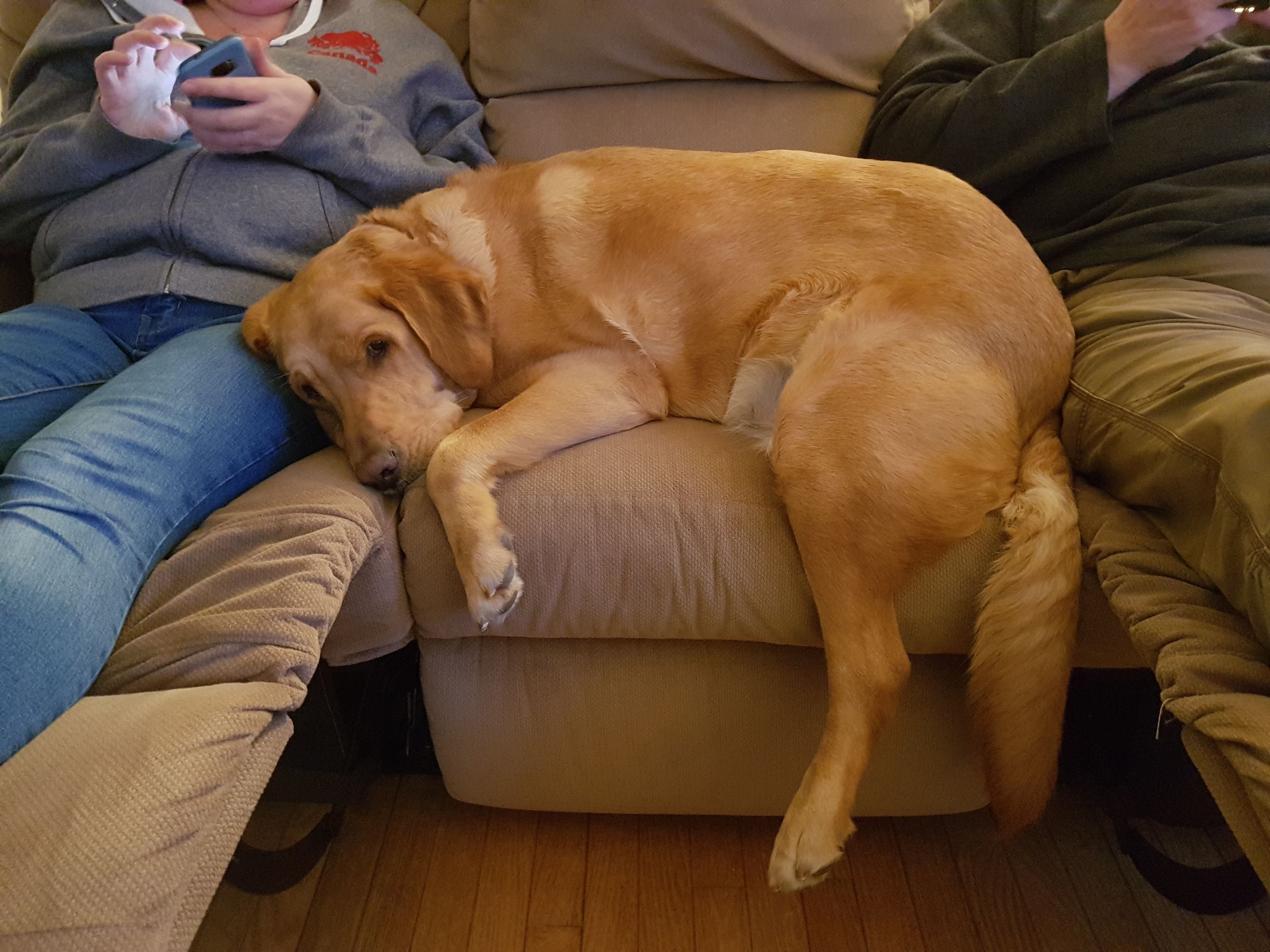 The Outernet is scary 