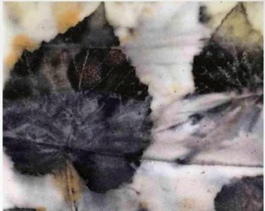 Eco Printing Tips and Tricks for Success (Free Download!)