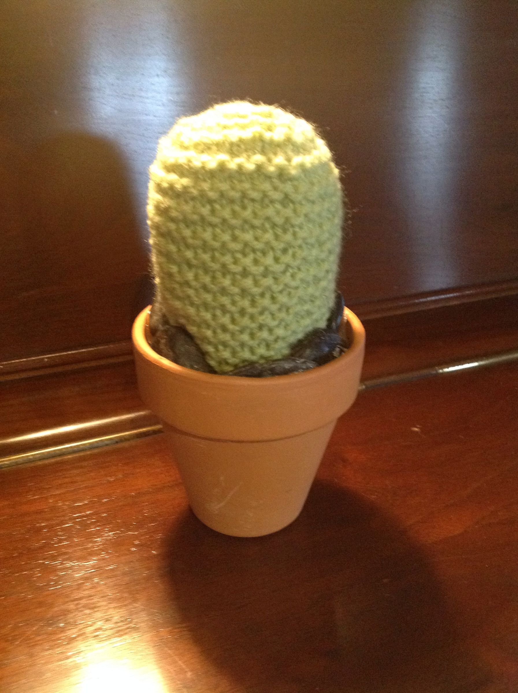 Plants That Don't Die 4 Steps (with Pictures) Instructables