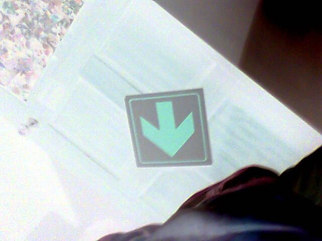 Dodge Luge 100% Homemade