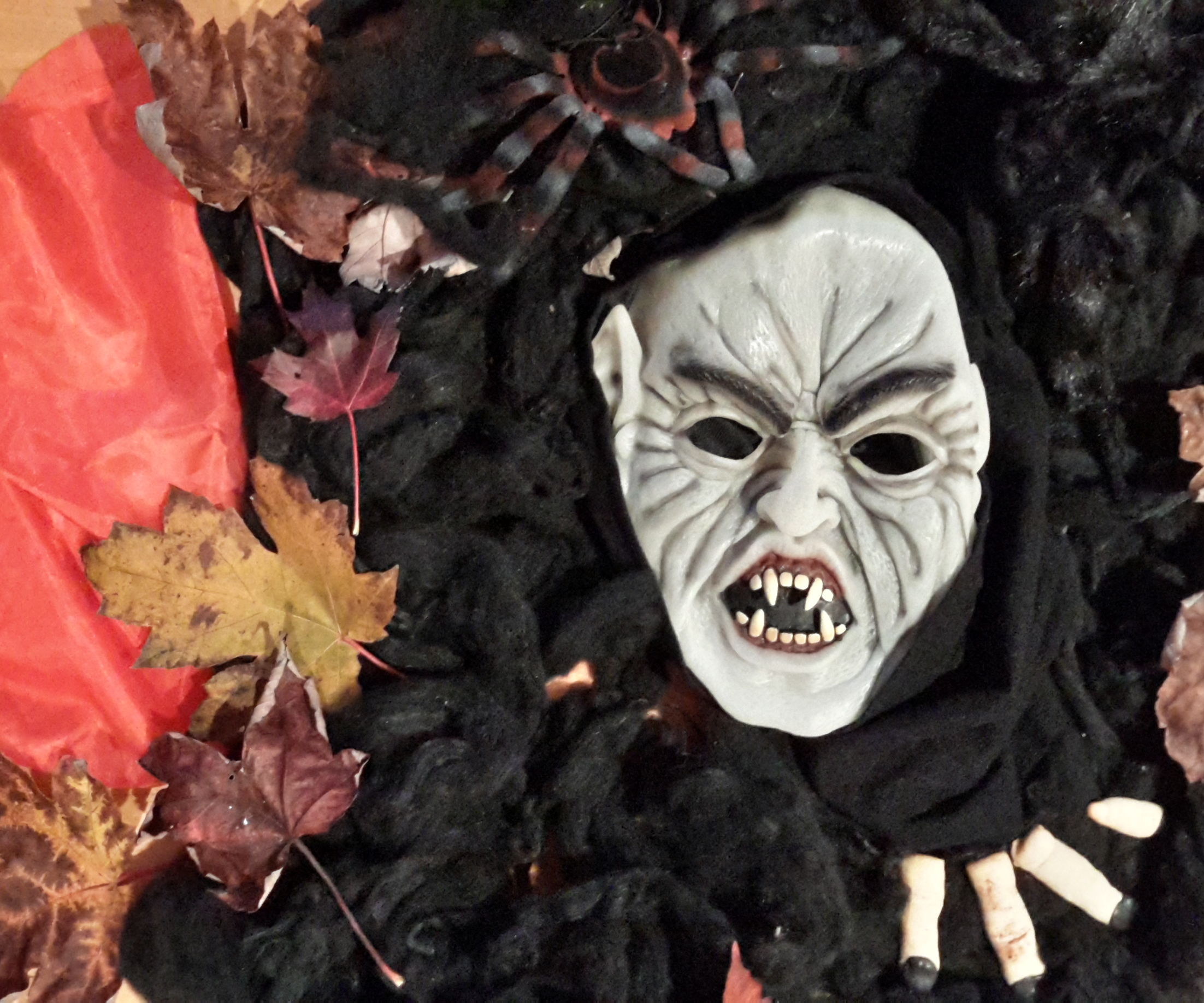 Spooktacular Halloween Decor