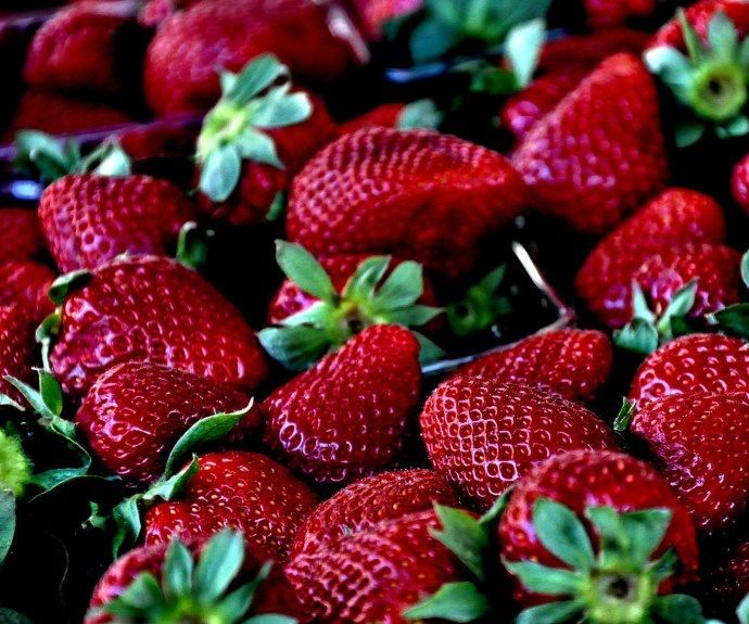 Como Sembrar Fresas O Frutillas