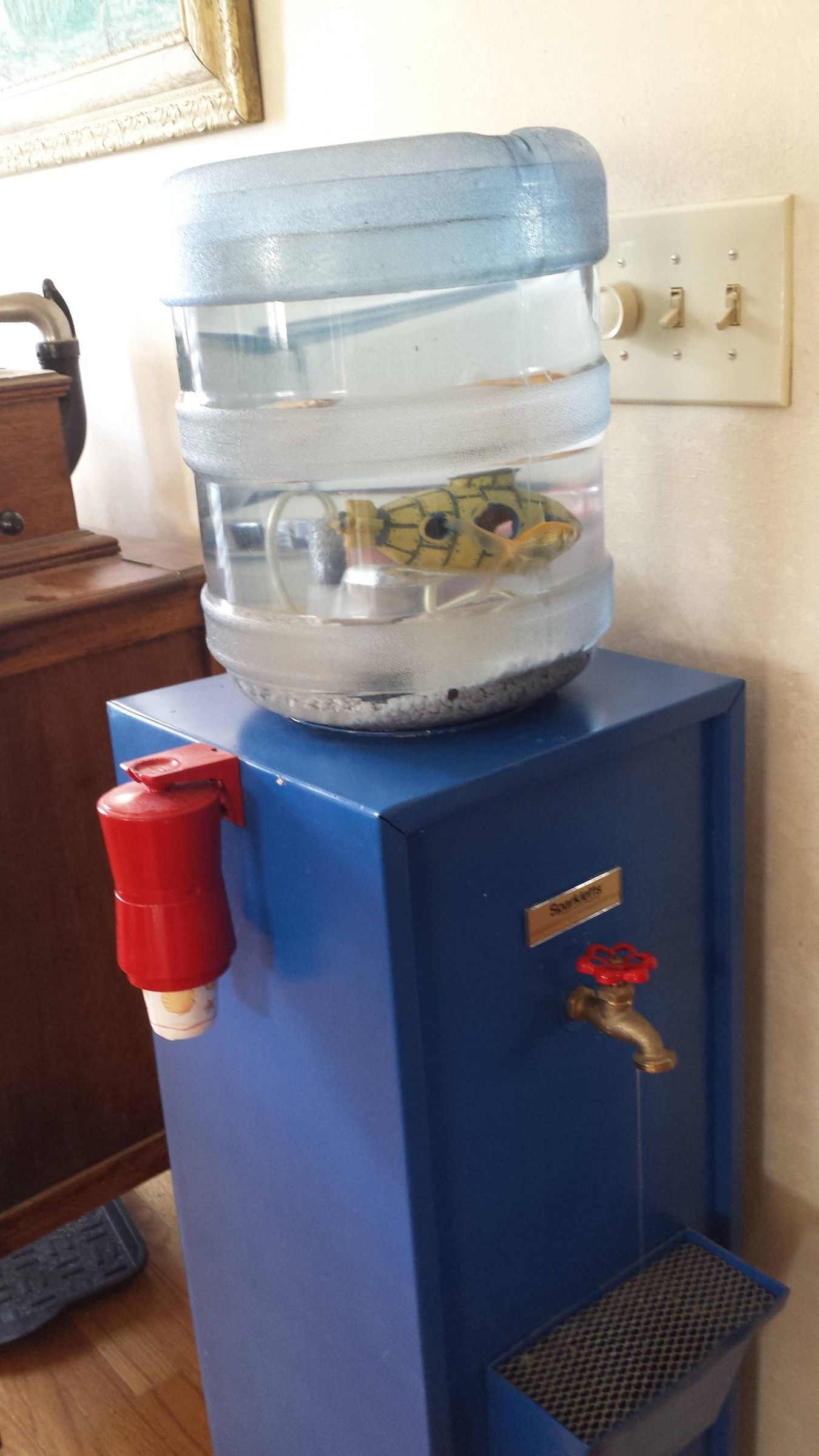 Water Cooler Aquarium That's Still Drinkable 6 Steps (with Pictures