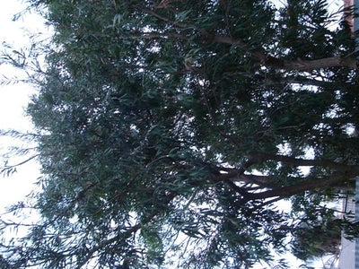 Outside and in the Car