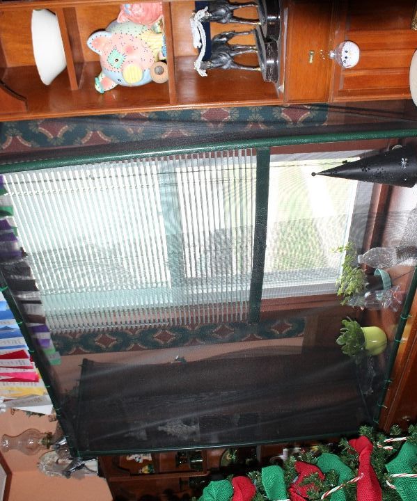 Window Plant Cage