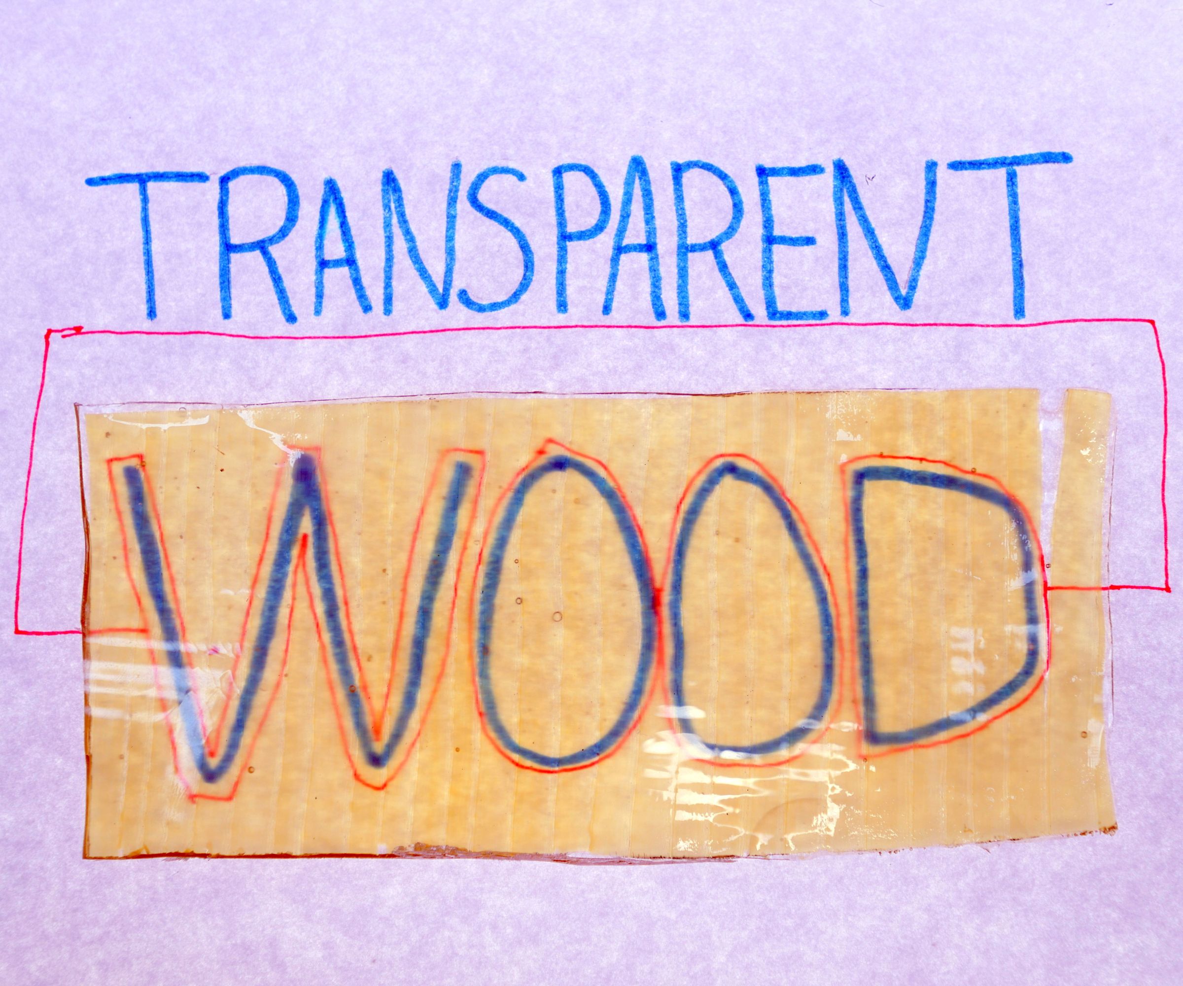 Transparent Wood