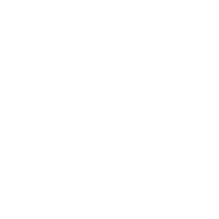 download {{ file.name }}