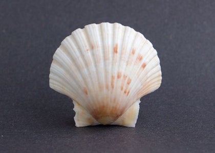 Some Shots of the Light in Action