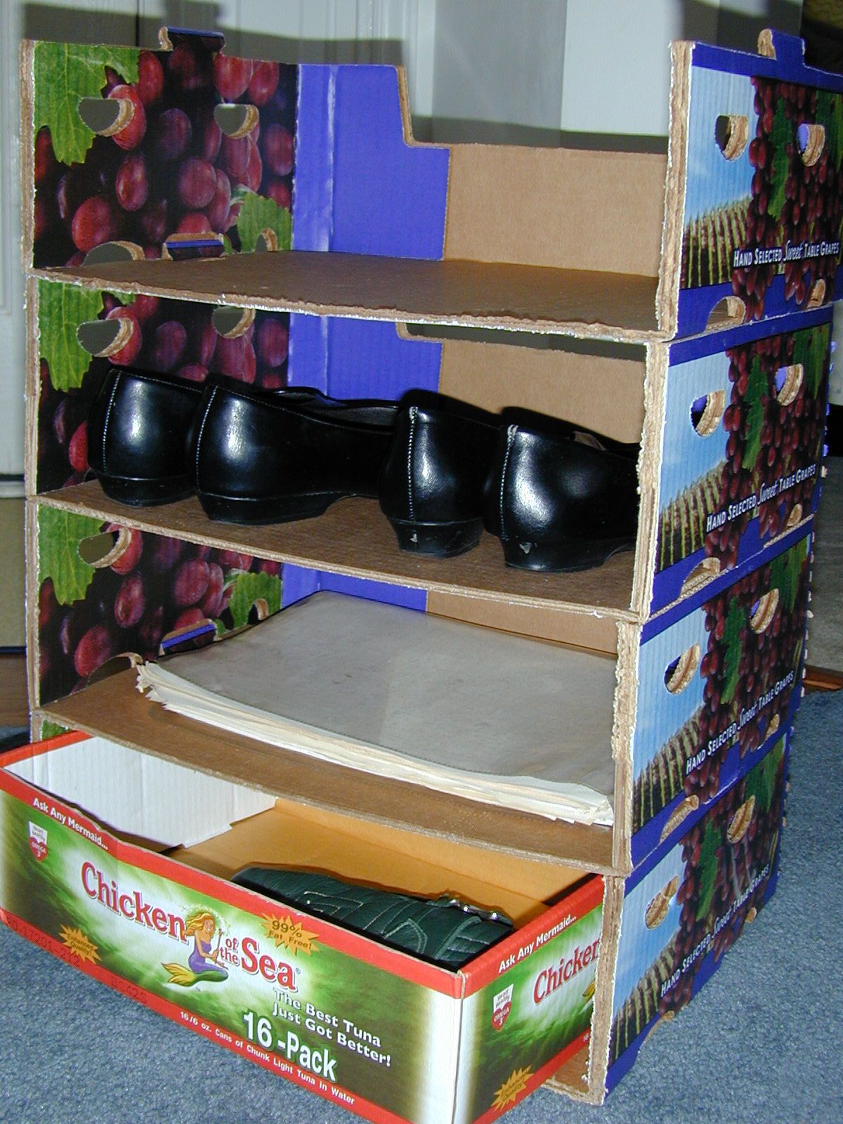 Cardboard Shelves & Storage