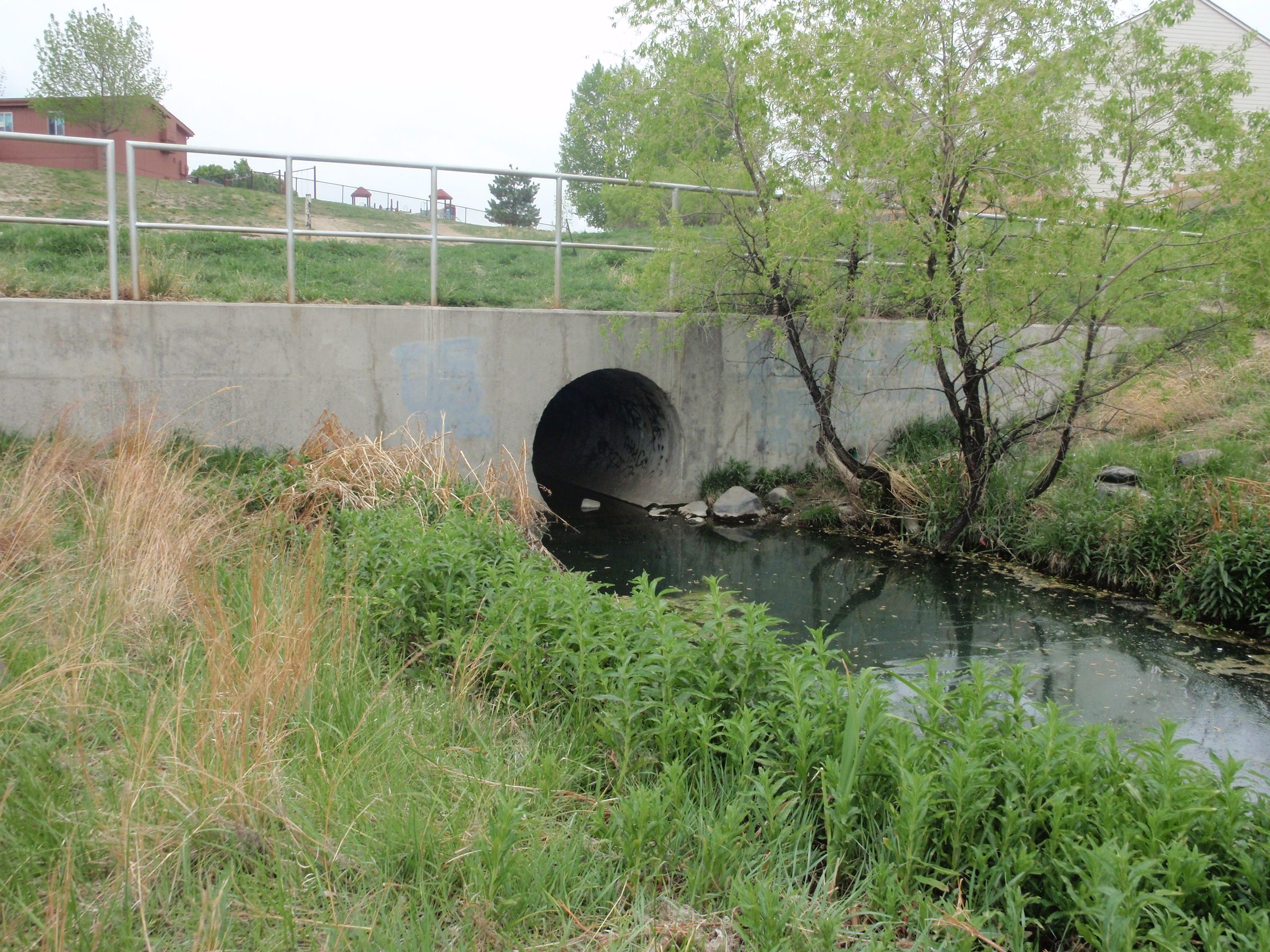Exploring the Storm Water Drain System