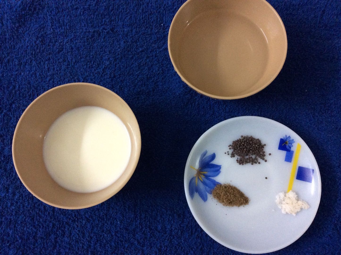 Homemade Eggless Mayonnaise 8 Steps Instructables