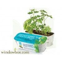 Seed Kits Keeping You Busy Under the Freezing Weather