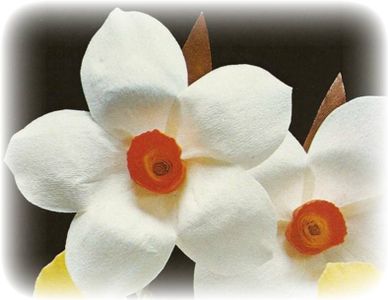 Now Make a Narcissus!