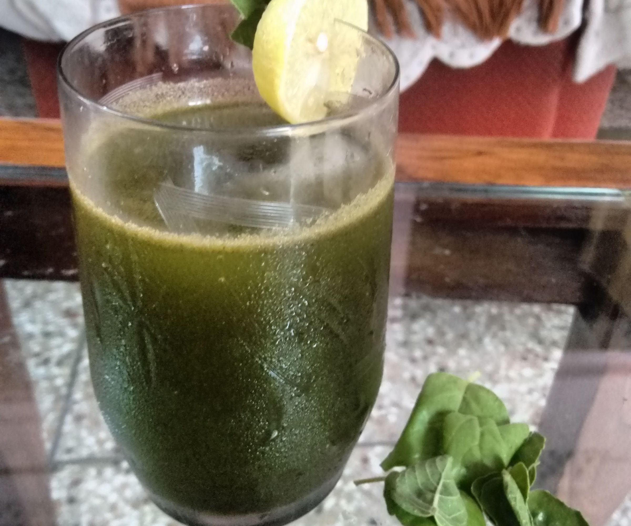  Indian - Mint Sherbet/ Pudina Drink