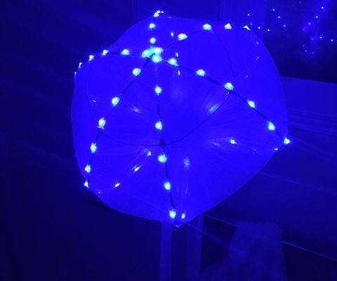 LED Jellyfish on a Stick