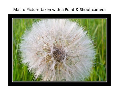 Take Great Pics, Easy Tutorial!