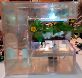 The Aquarium and Grow Bed