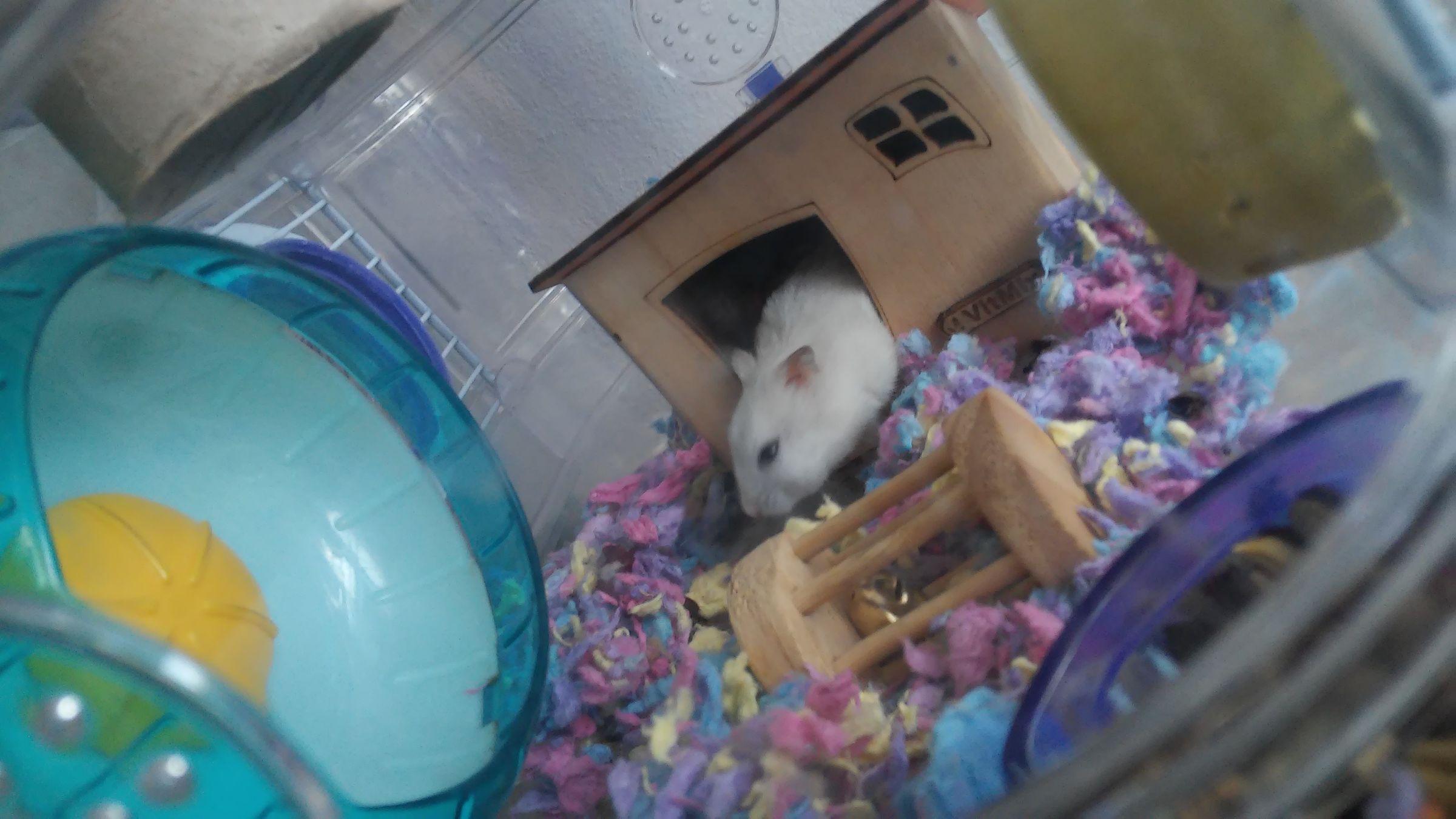 Hamster Air Conditioning System 6 Steps (with Pictures) Instructables