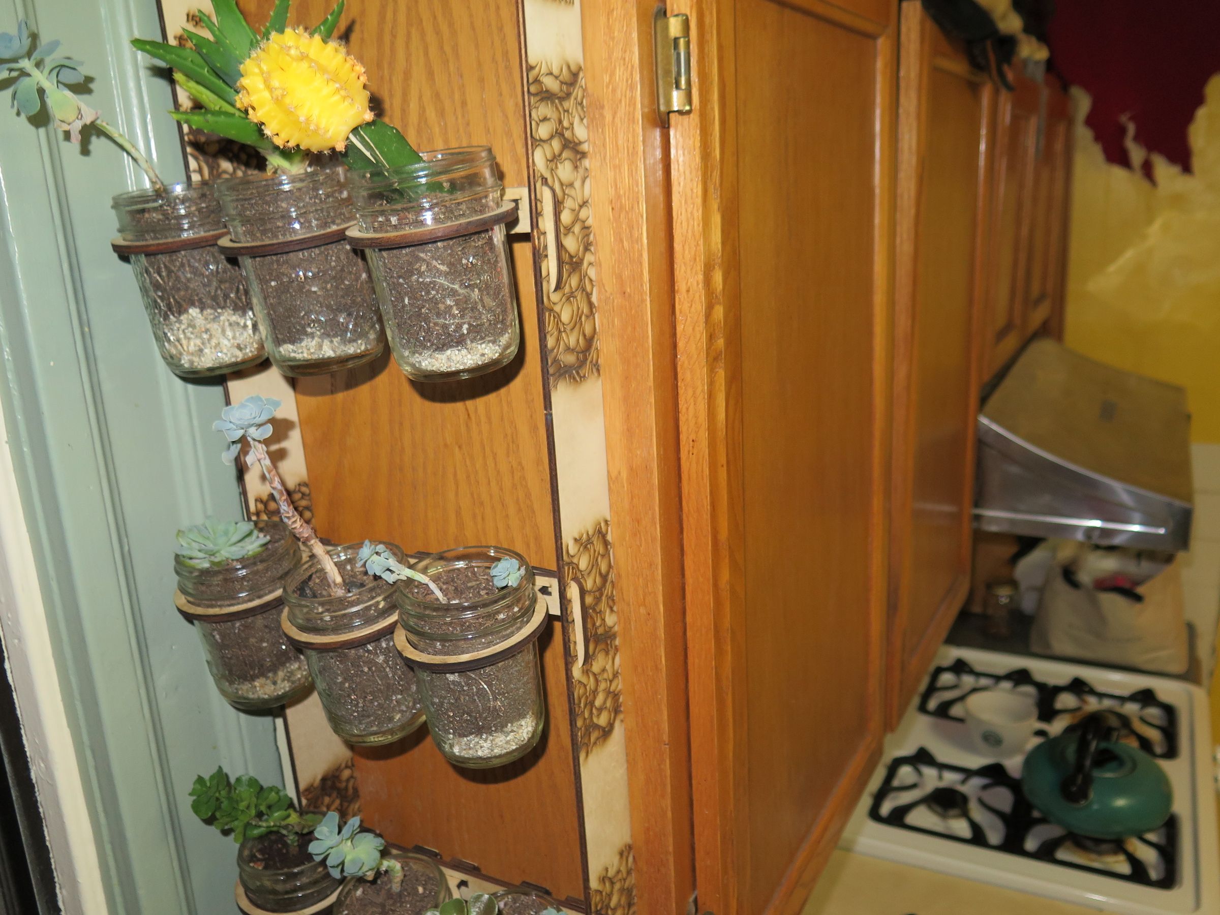 Hanging Mason Jar Gardens (with Pictures) Instructables